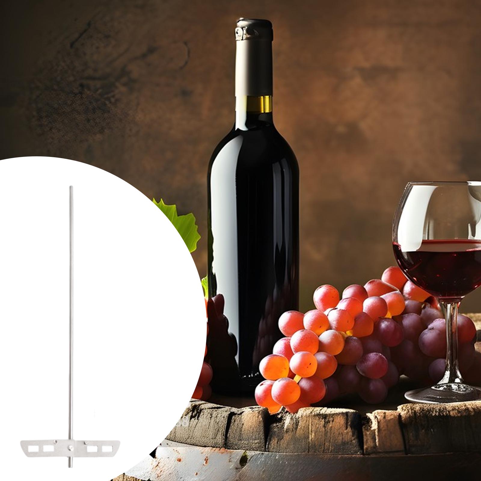 Agitateur de brassage artisana - Wine Mix With Beer avis et prix